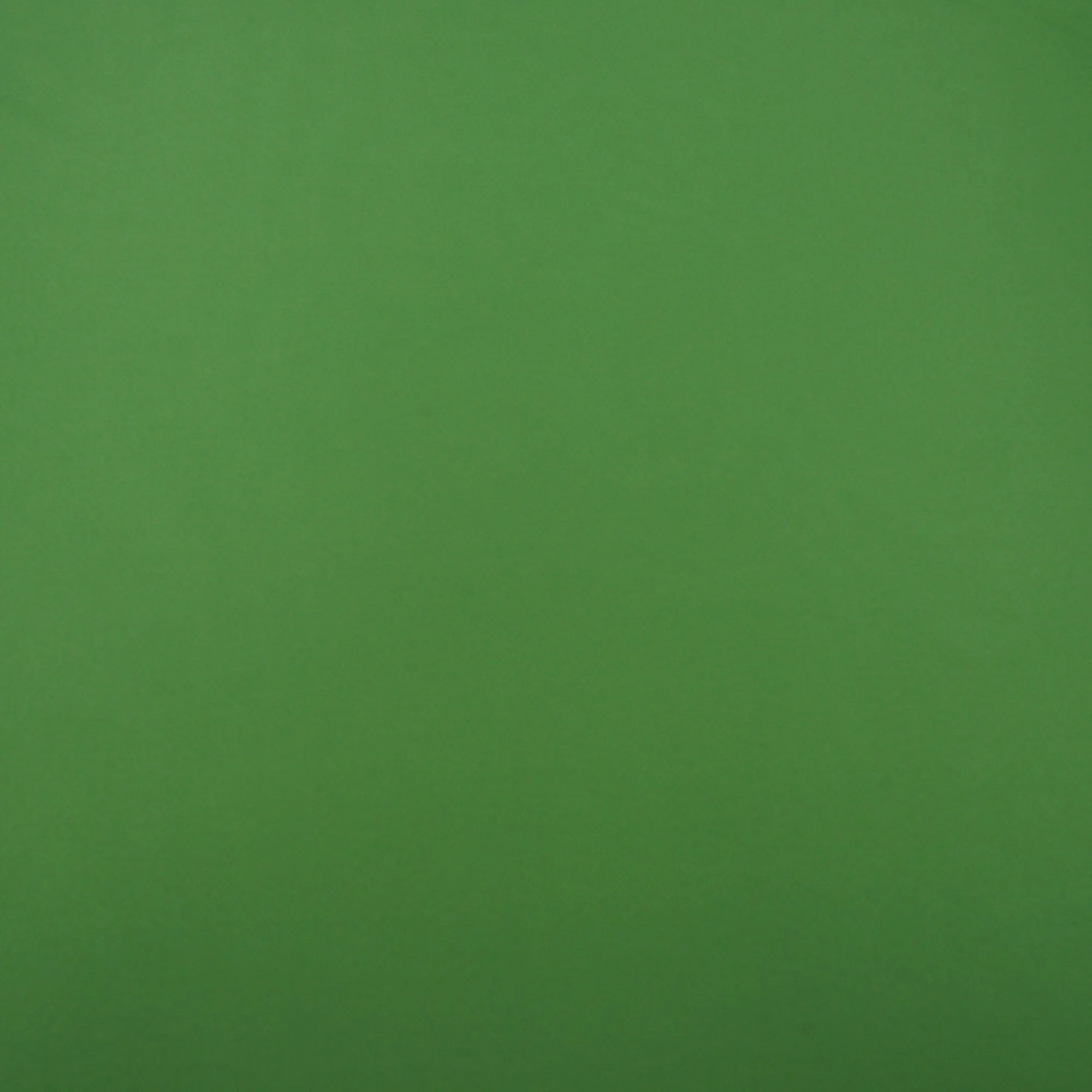 Apple Polyester 60" Pongee Fabric